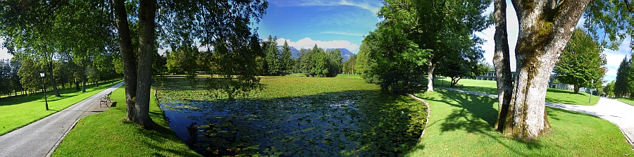 Brdo pri Kranju, ribnik, 25. 8. 2014. Slika je vidna v Google Chromu.