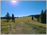 Slika_008.webp