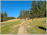 Slika_009.webp