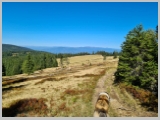 Slika_016.webp