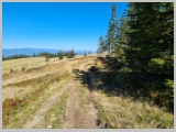 Slika_017.webp