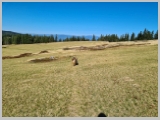 Slika_019.webp