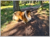 Slika_027.webp