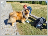 Slika_037.webp