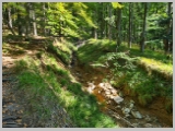 Slika_055.webp