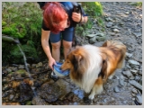 Slika_056.webp