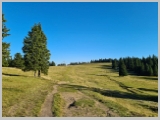 Slika_066.webp