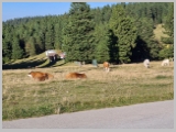 Slika_068.webp