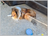 Slika_070.webp