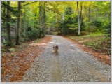 Slika_001.webp