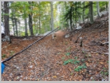 Slika_006.webp
