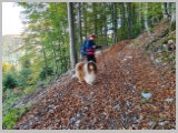 Slika_008.webp