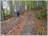 Slika_010.webp