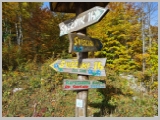 Slika_013.webp
