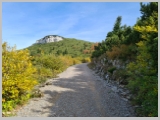 Slika_017.webp