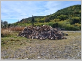 Slika_018.webp