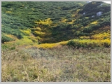 Slika_023.webp