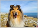 Slika_033.webp