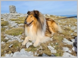 Slika_038.webp