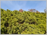 Slika_052.webp