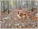 Slika_057.webp