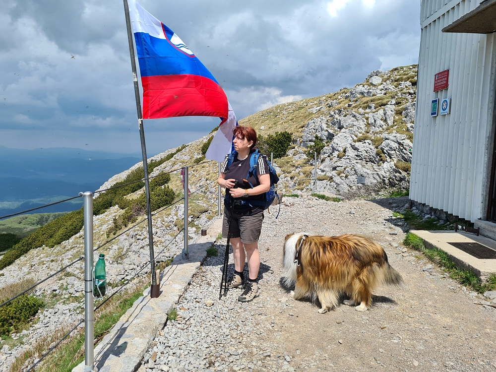 Slika je vidna v Google Chromu.