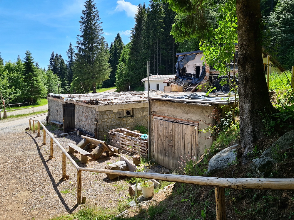 Slika je vidna v Google Chromu.