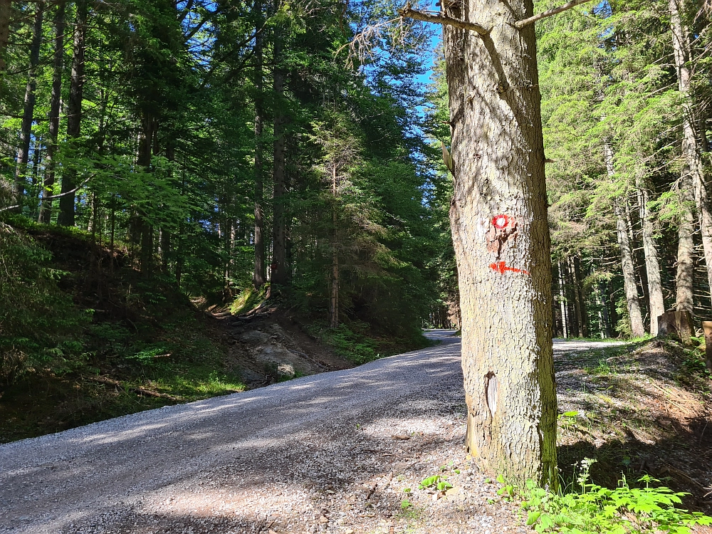 Slika je vidna v Google Chromu.