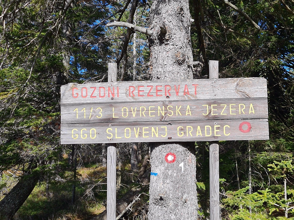 Slika je vidna v Google Chromu.