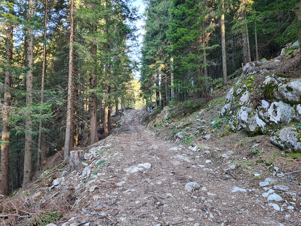 Slika je vidna v Google Chromu.