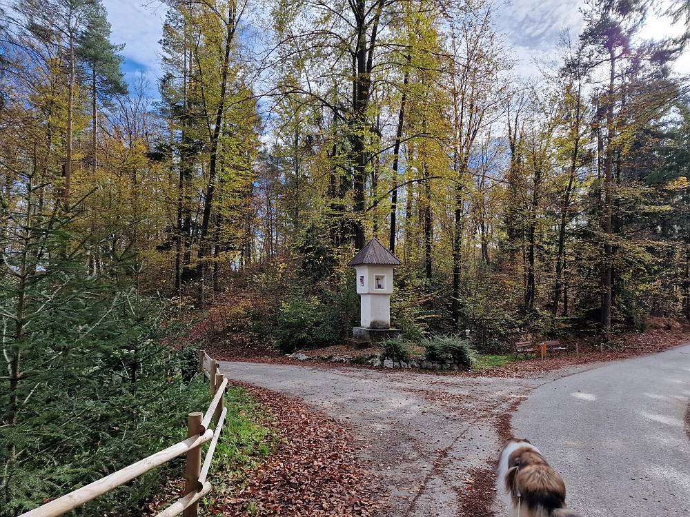 Slika je vidna v Google Chromu.