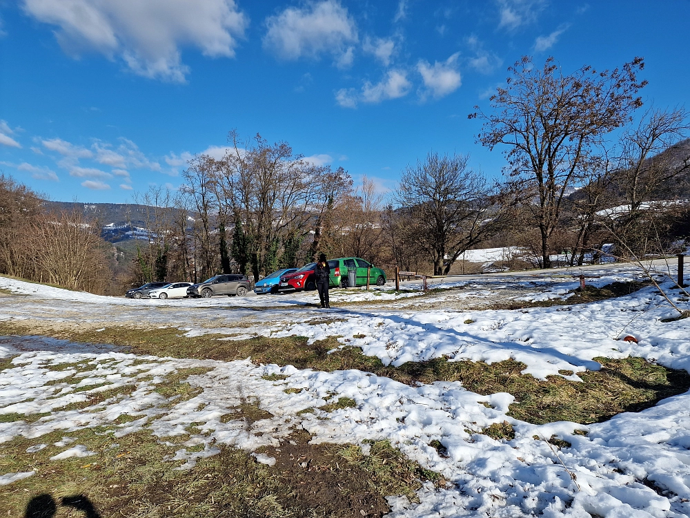 Slika je vidna v Google Chromu.