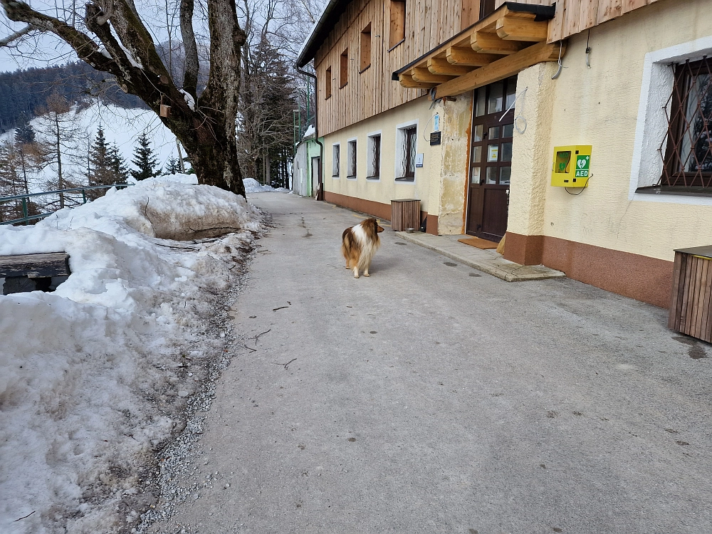 Slika je vidna v Google Chromu.