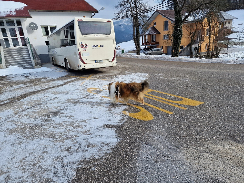 Slika je vidna v Google Chromu.