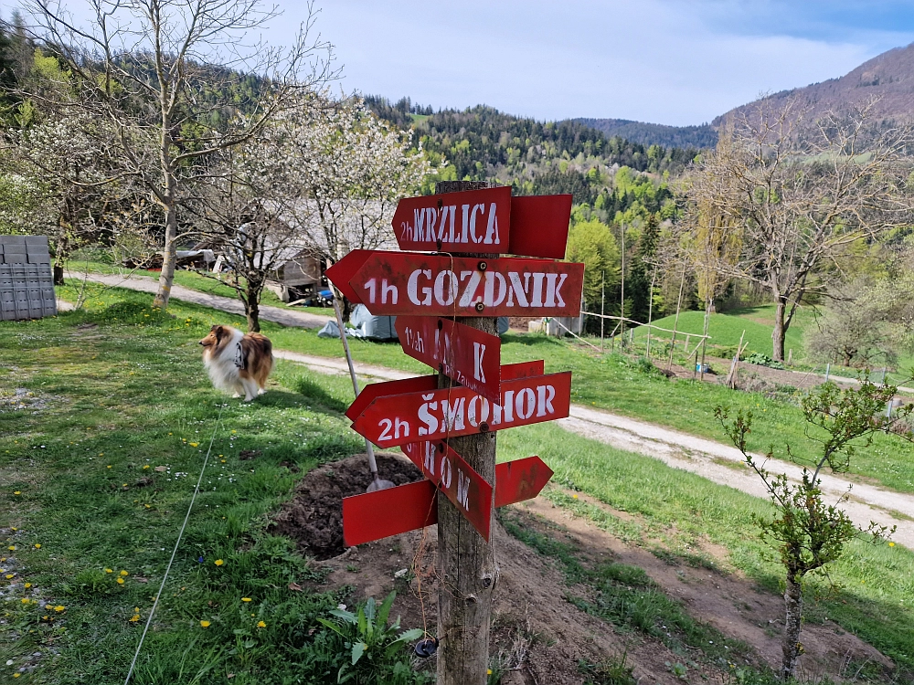 Slika je vidna v Google Chromu.