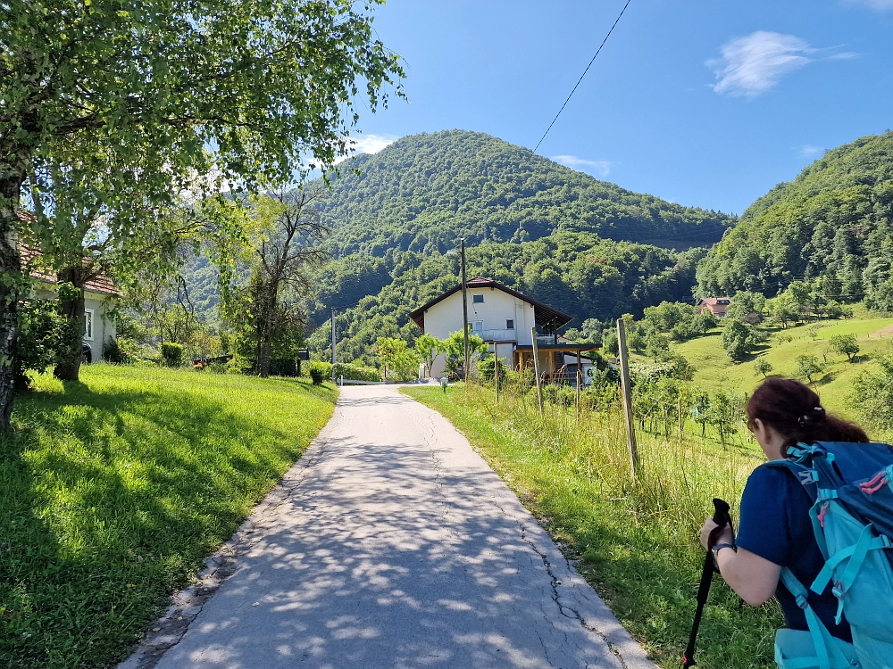 Slika je vidna v Google Chromu.