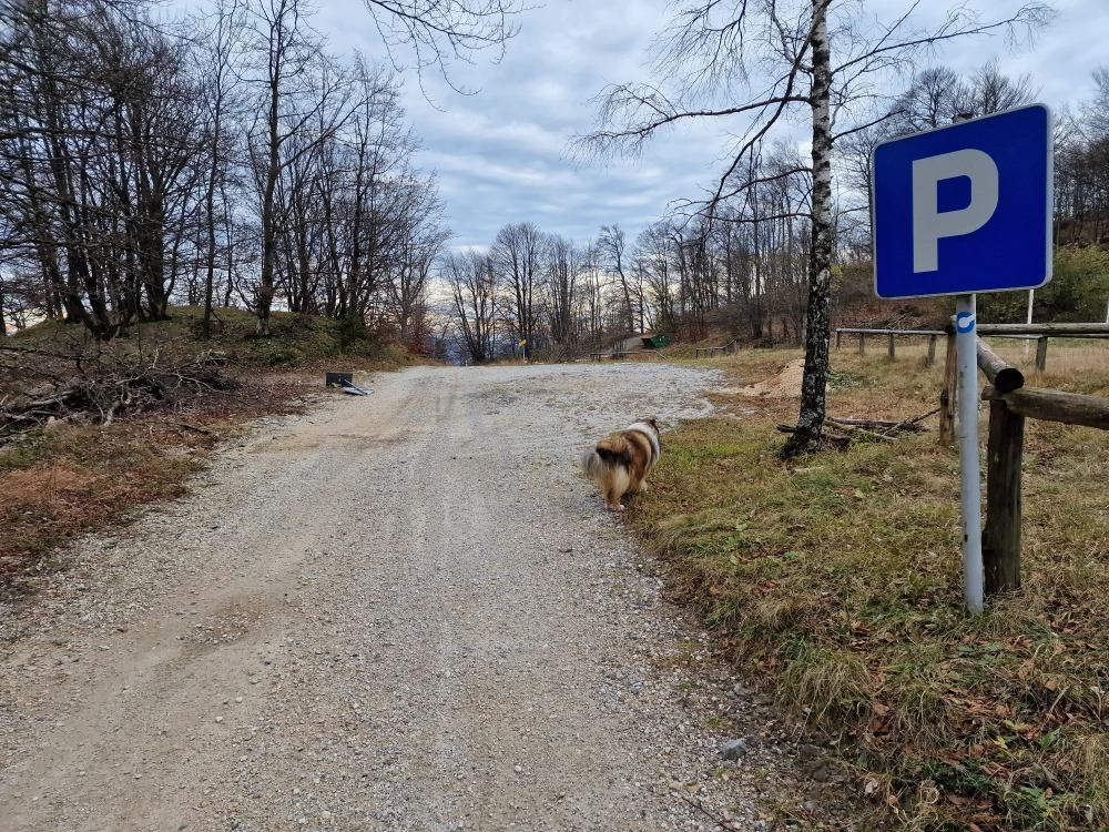 Slika je vidna v Google Chromu.