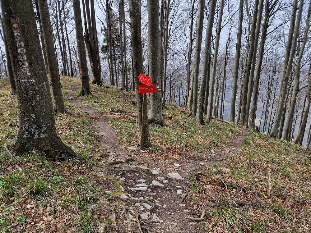 Slika je vidna v Google Chromu.