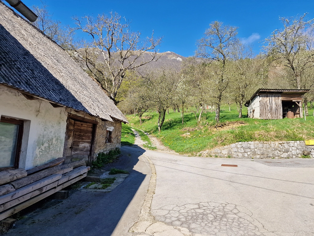 Slika je vidna v Google Chromu.