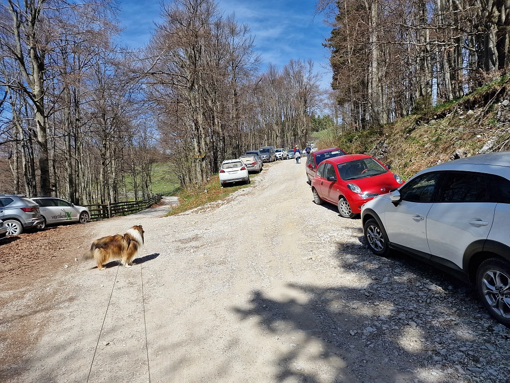 Slika je vidna v Google Chromu.