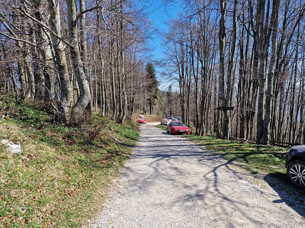 Slika je vidna v Google Chromu.