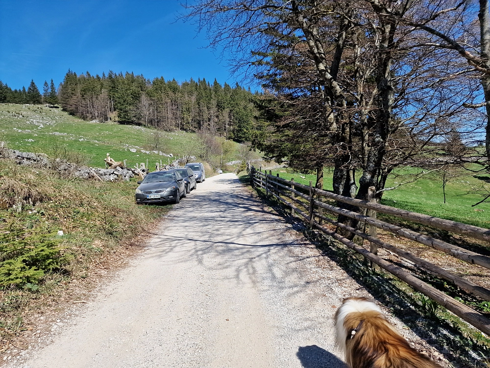 Slika je vidna v Google Chromu.