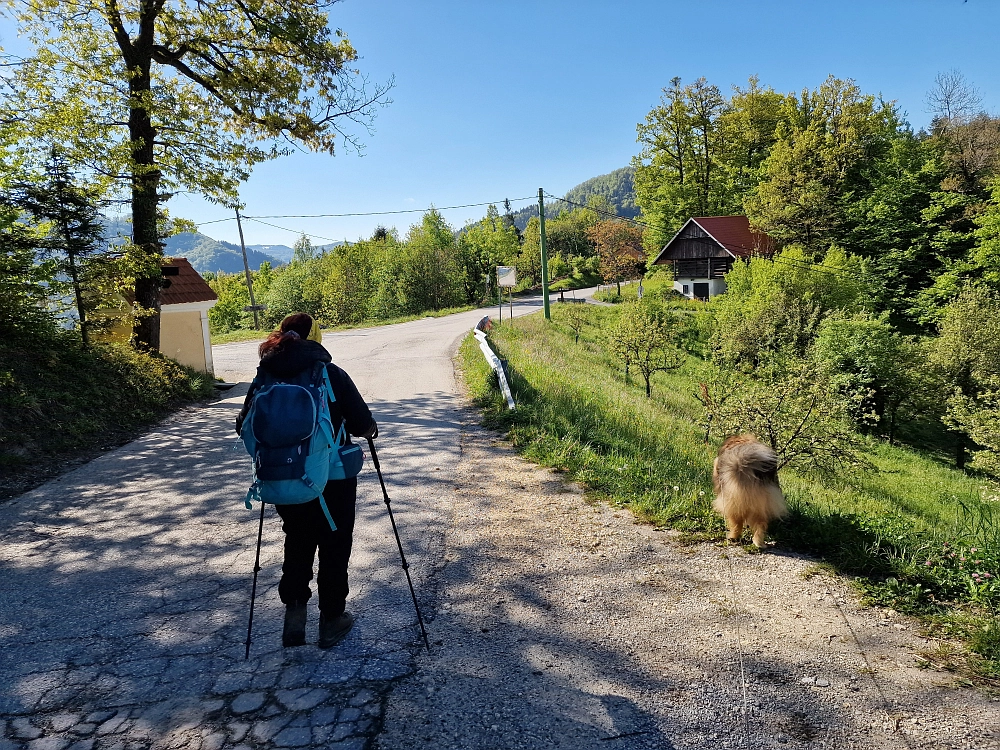 Slika je vidna v Google Chromu.