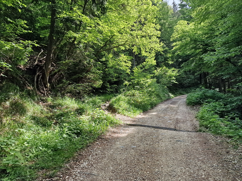 Slika je vidna v Google Chromu.