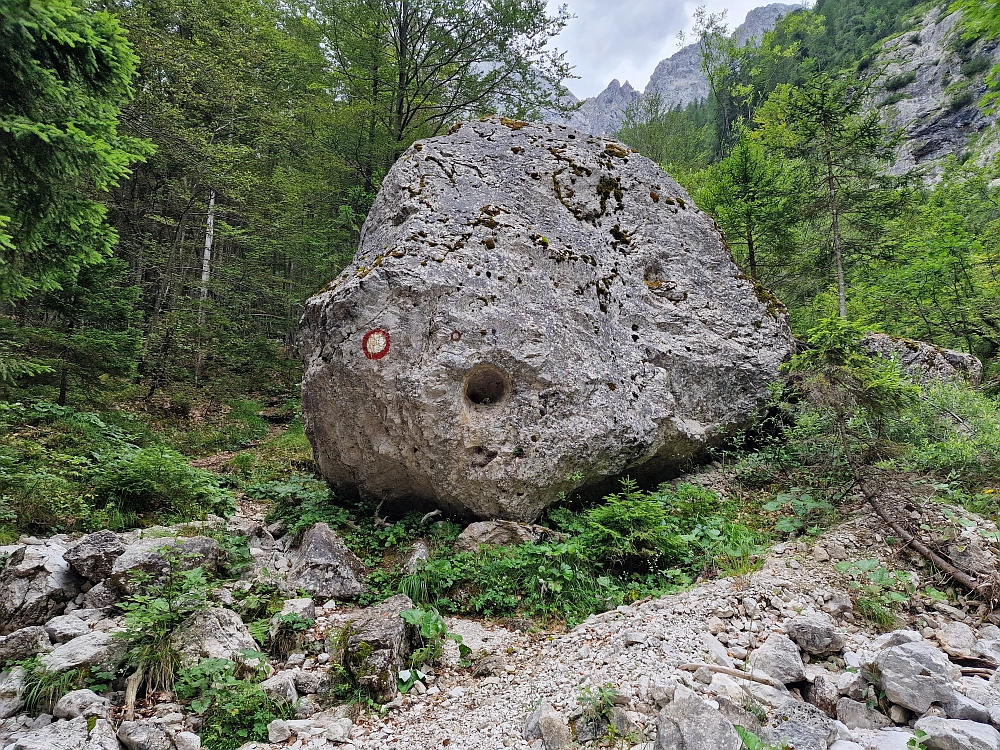 Slika je vidna v Google Chromu.