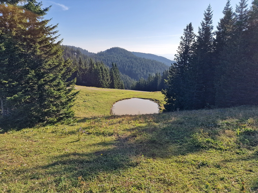 Slika je vidna v Google Chromu.