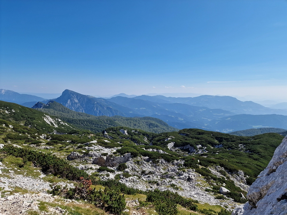 Slika je vidna v Google Chromu.