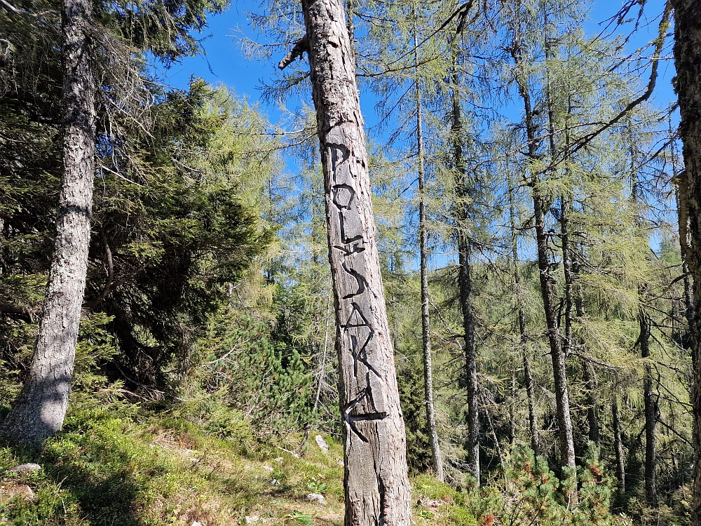 Slika je vidna v Google Chromu.