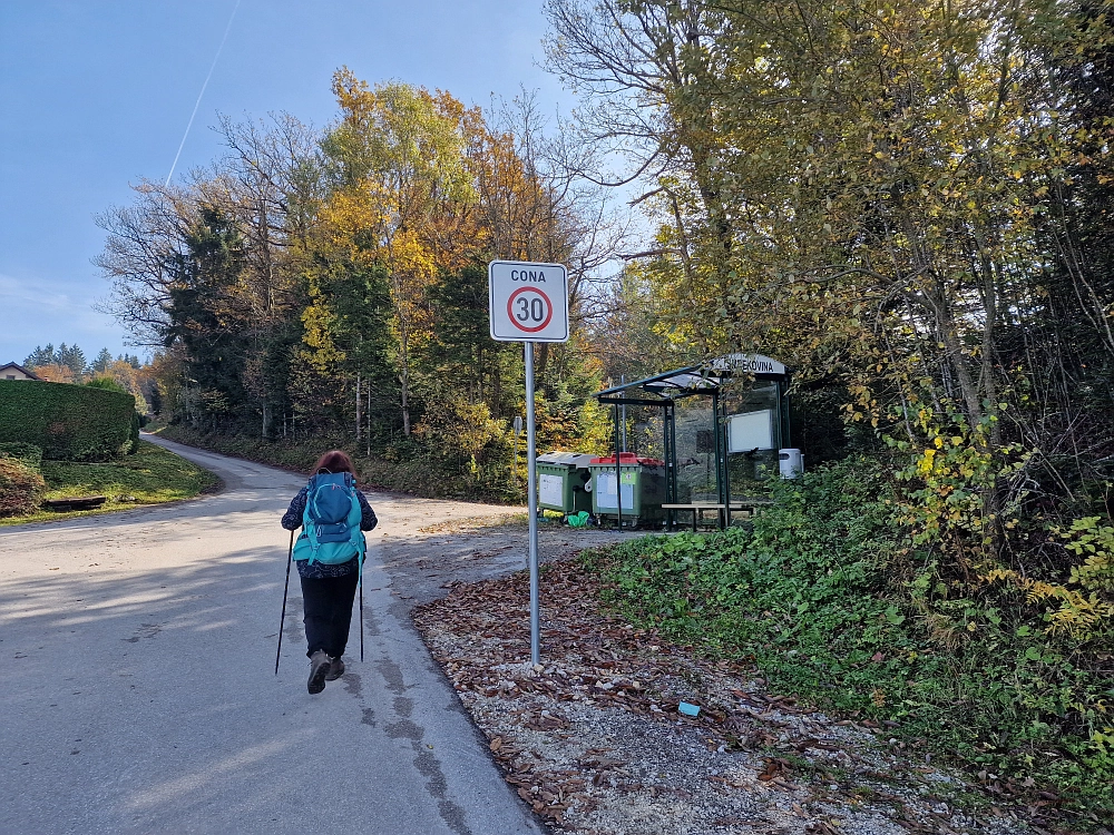 Slika je vidna v Google Chromu.