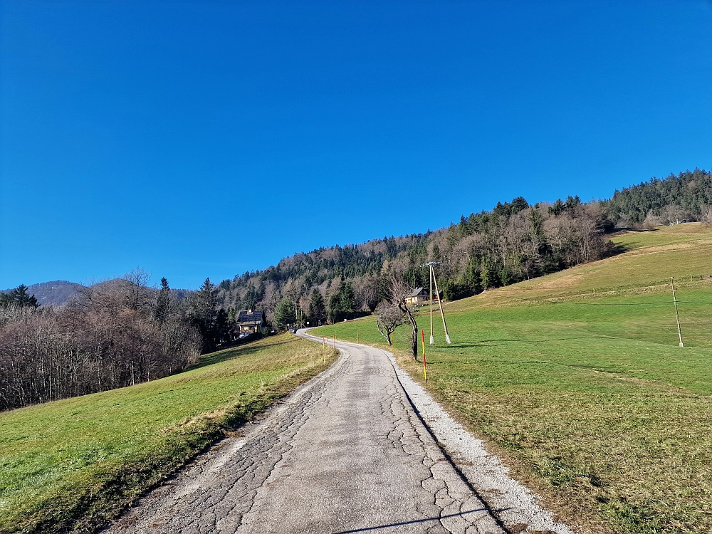 Slika je vidna v Google Chromu.